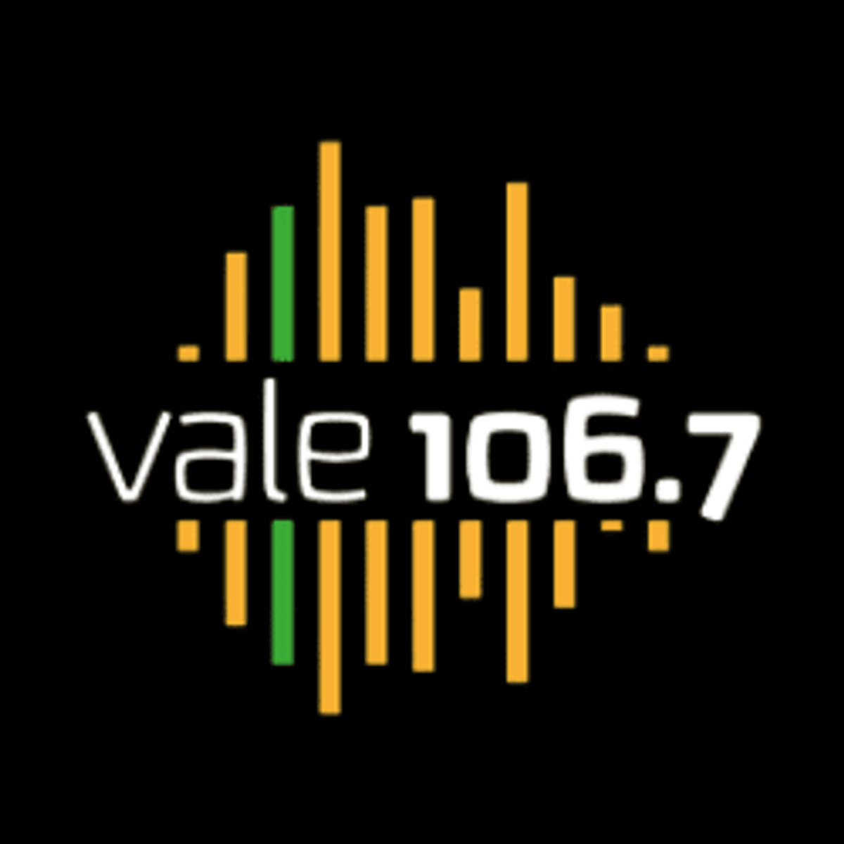 Logo Vale FM