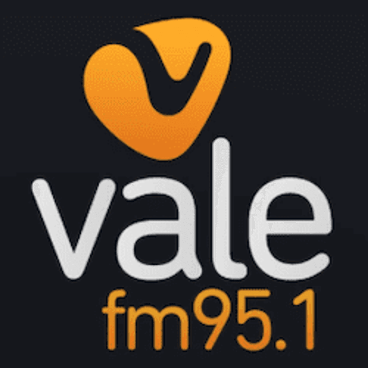 Logo Rádio Vale FM