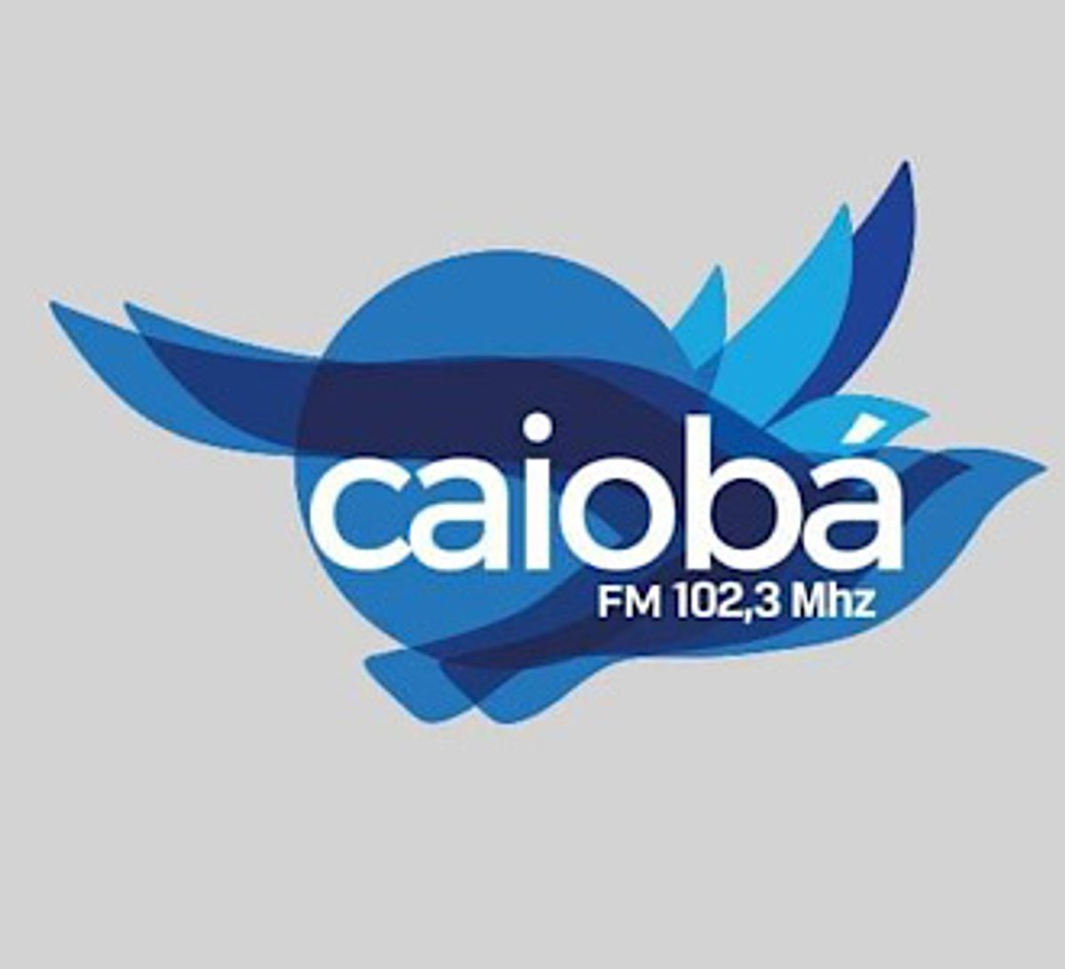 Caiobá FM realiza campanha de arrecadação de sachês para cães e gatos durante comemoração de aniversário