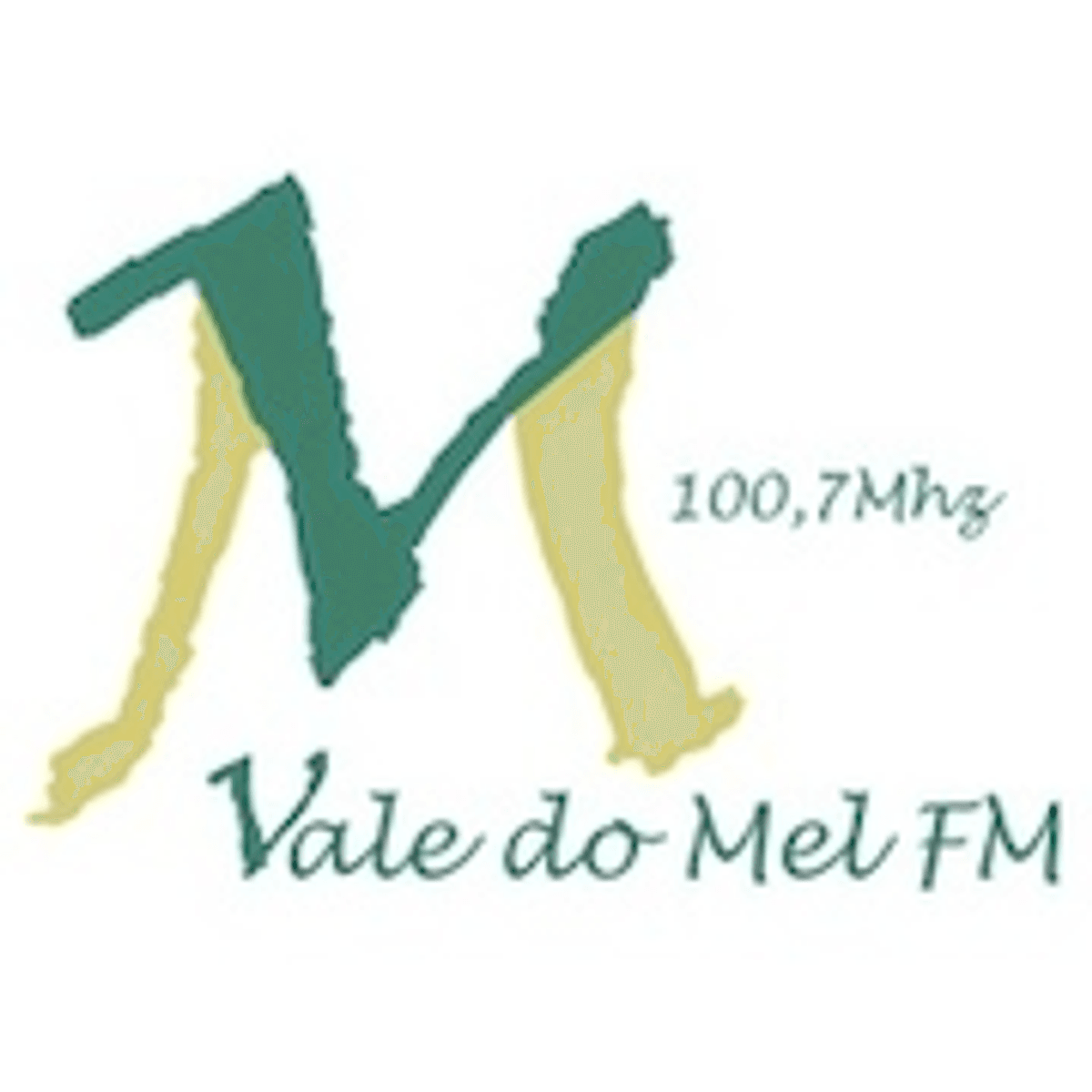 Logo Vale do Mel FM
