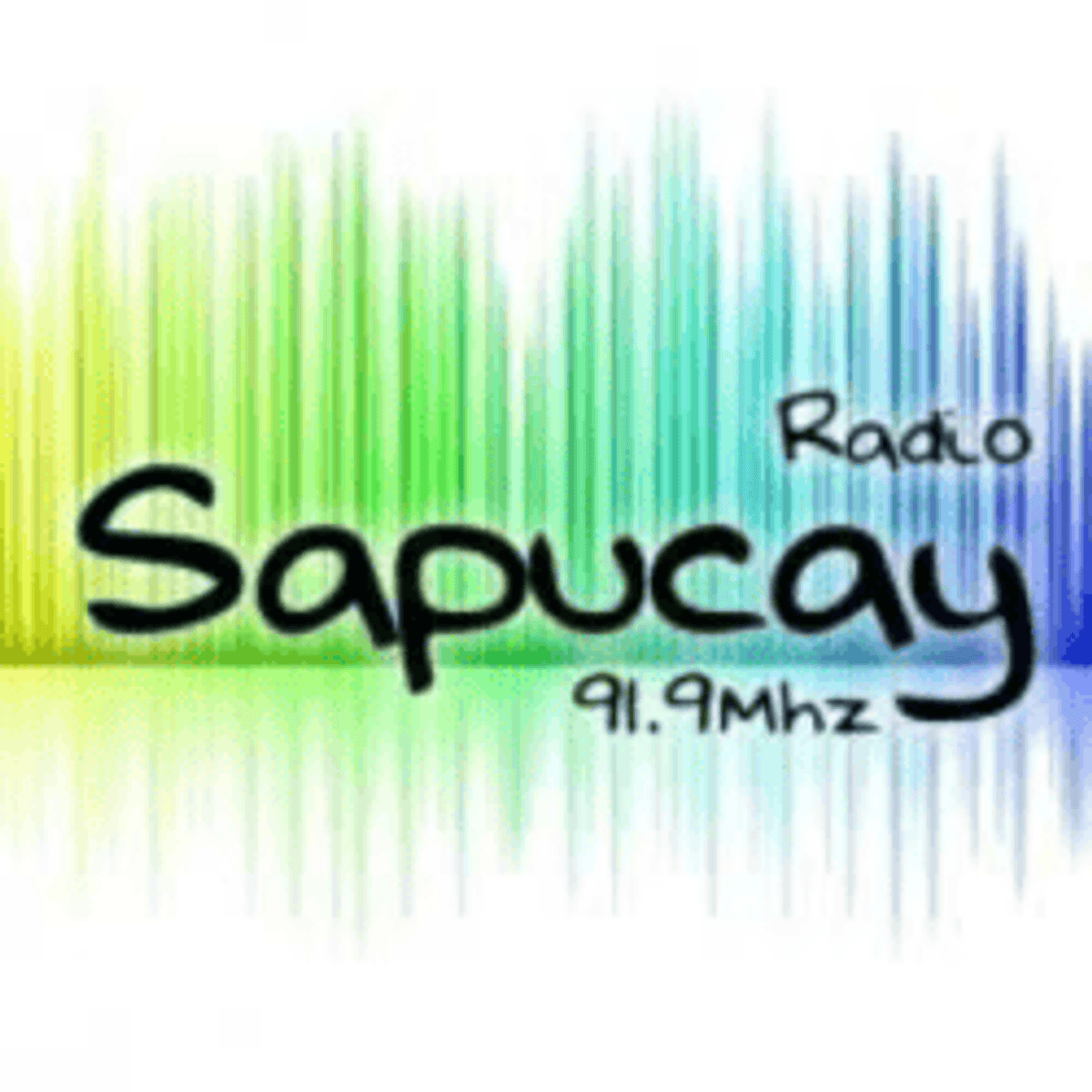 Logo Sapucay FM