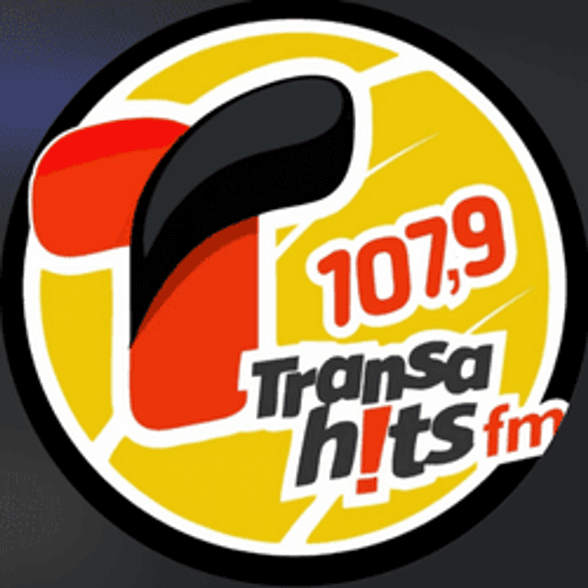 Logo TransaHits