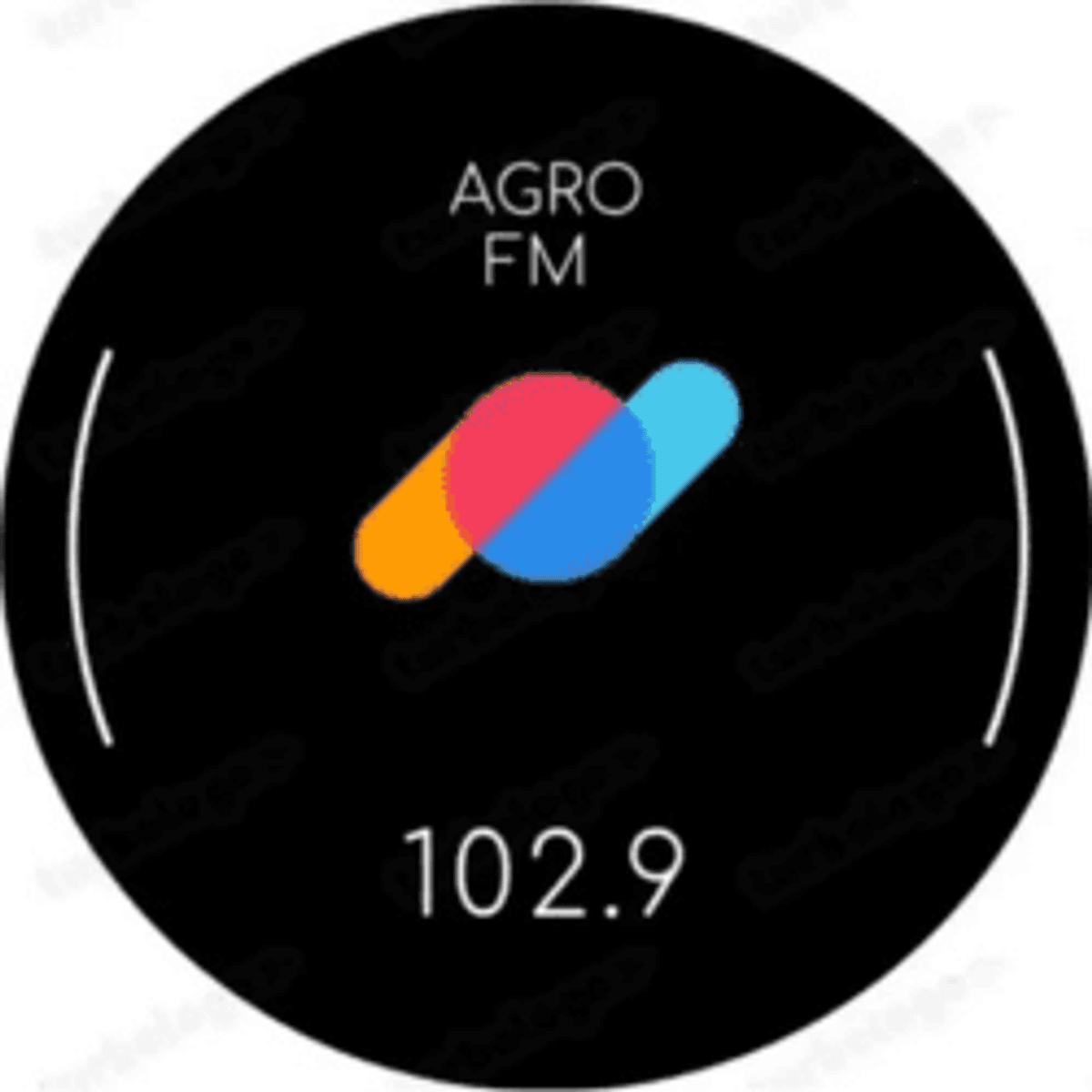 Logo Agro FM