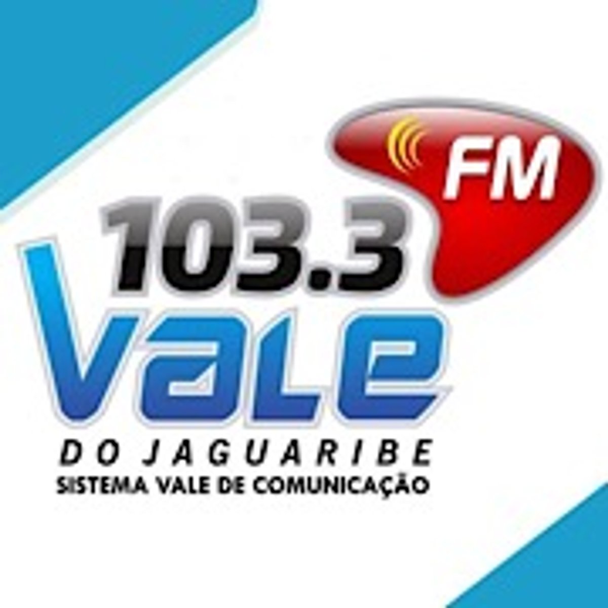 Logo Vale FM