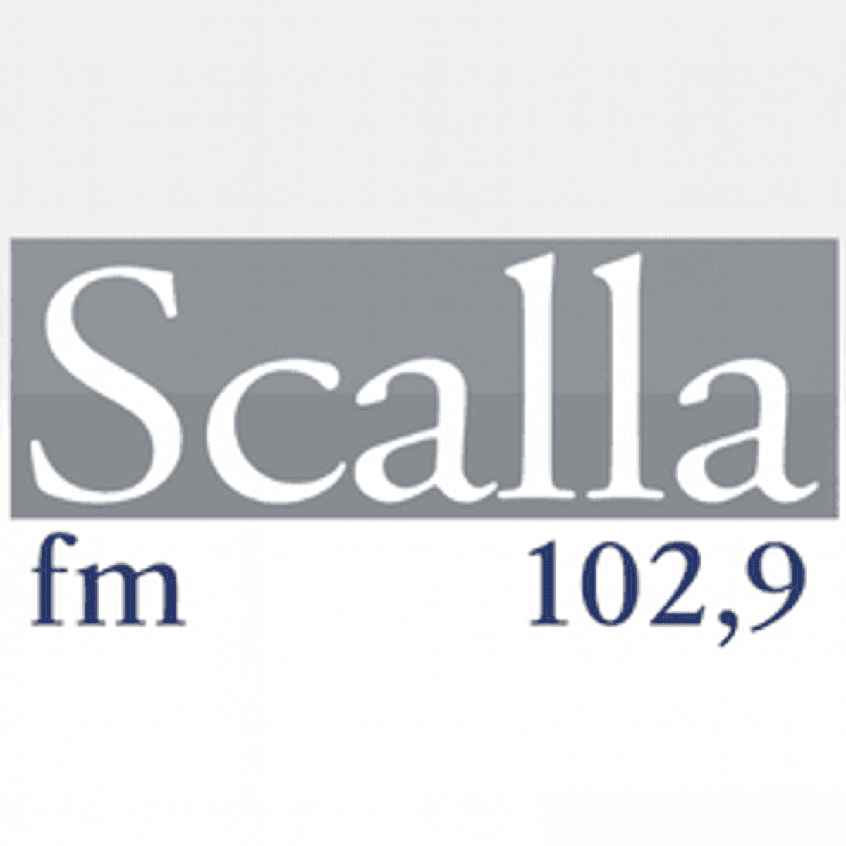 Logo Estilo FM