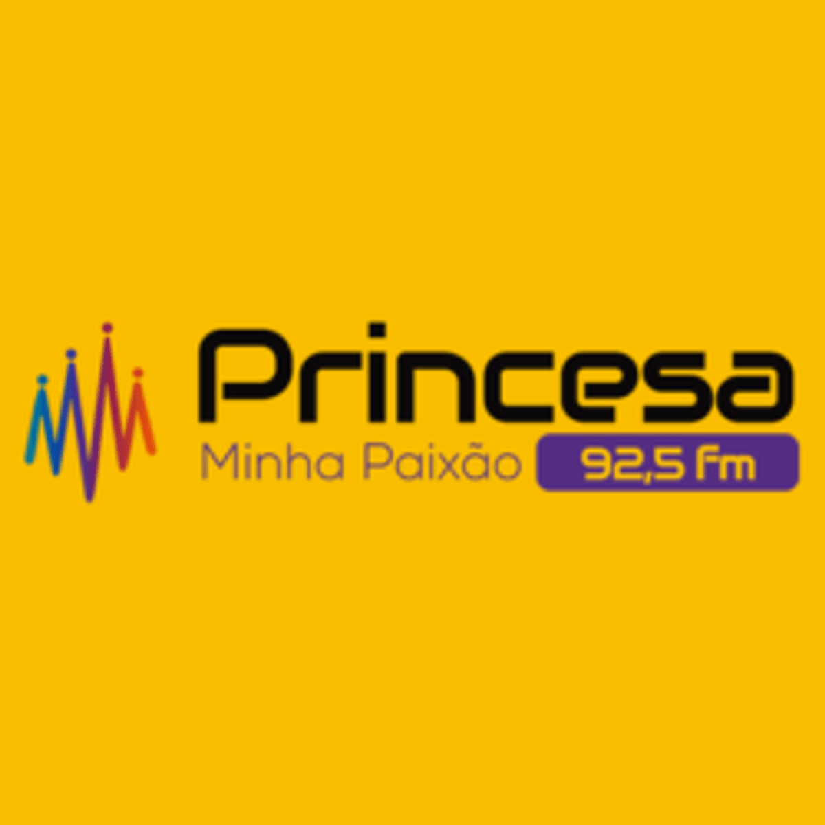 Logo Princesa FM