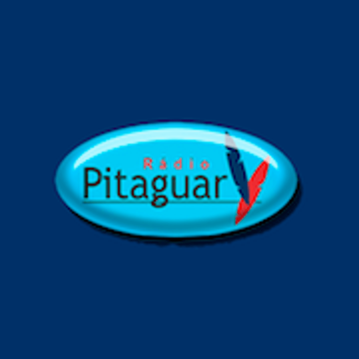 Logo Rádio Pitaguary