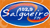 Logo Salgueiro FM