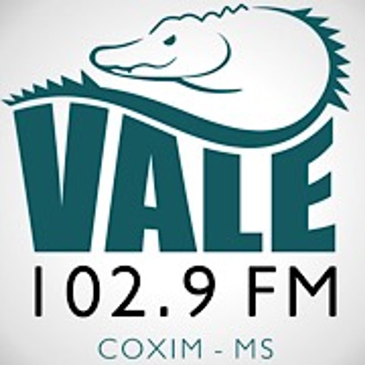 Logo Vale 102 FM