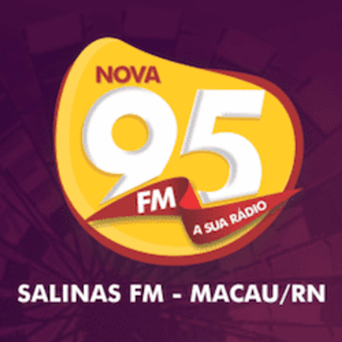 Logo Salinas FM 95