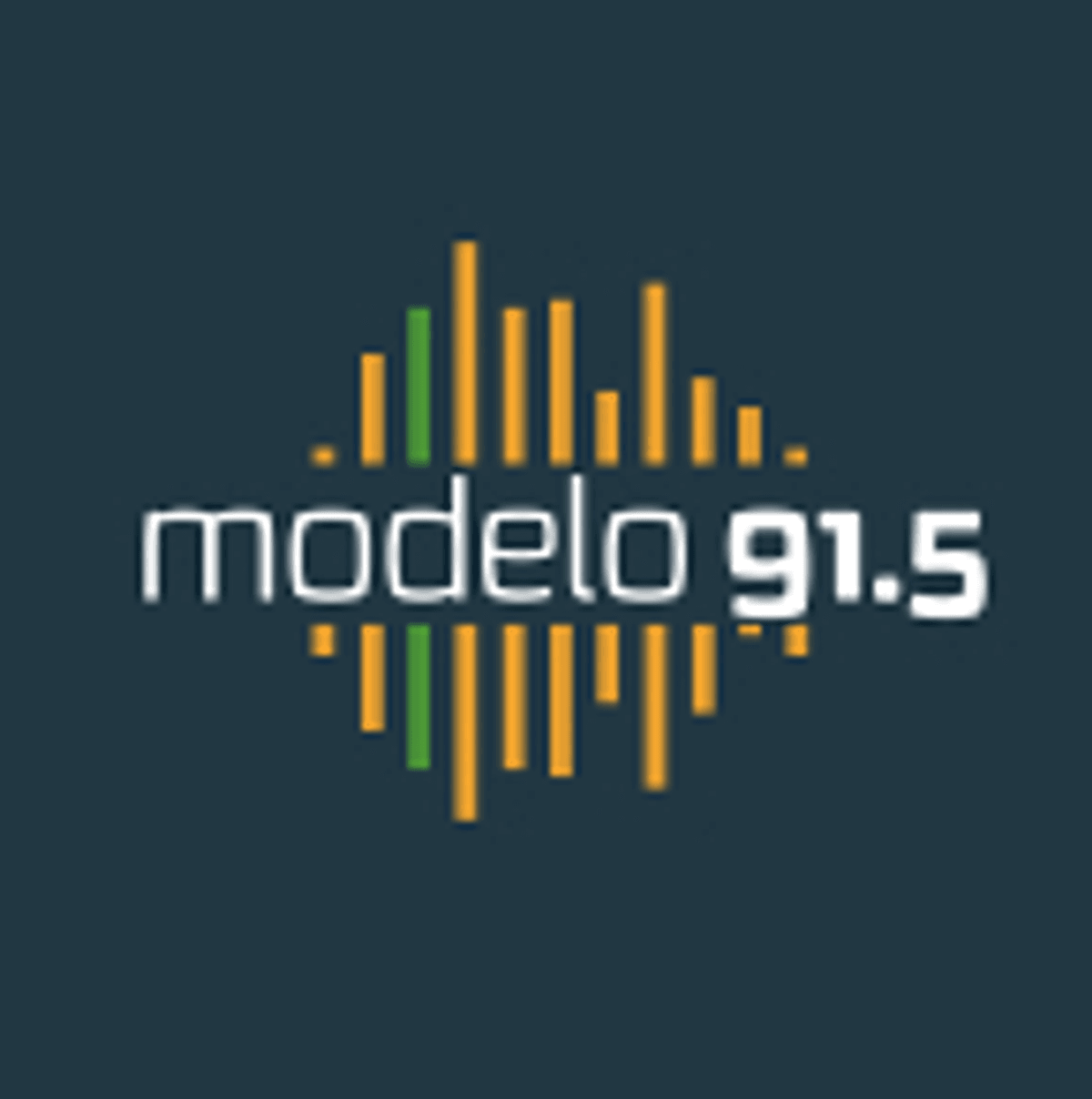 Logo Modelo FM