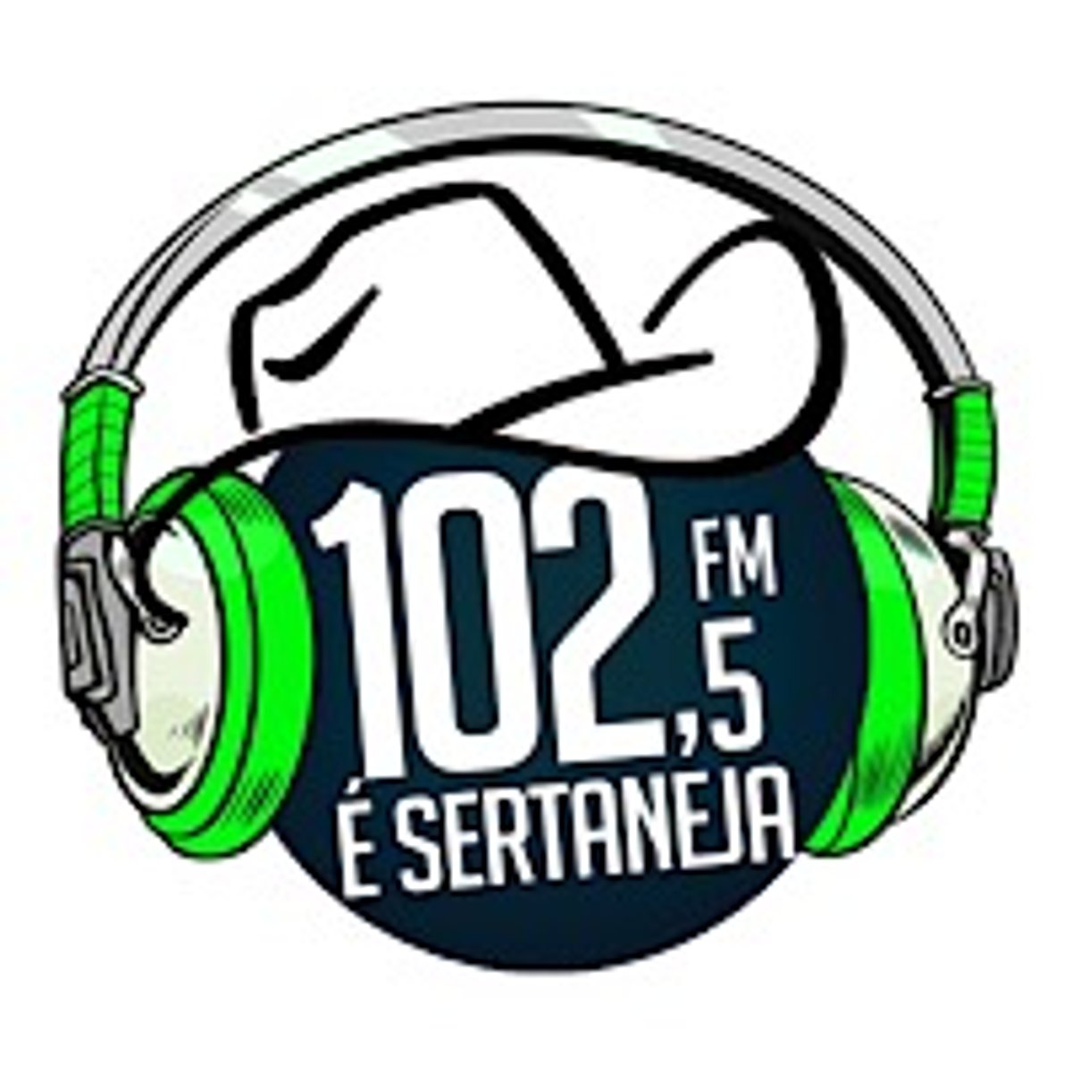 Logo 102 FM Sertaneja