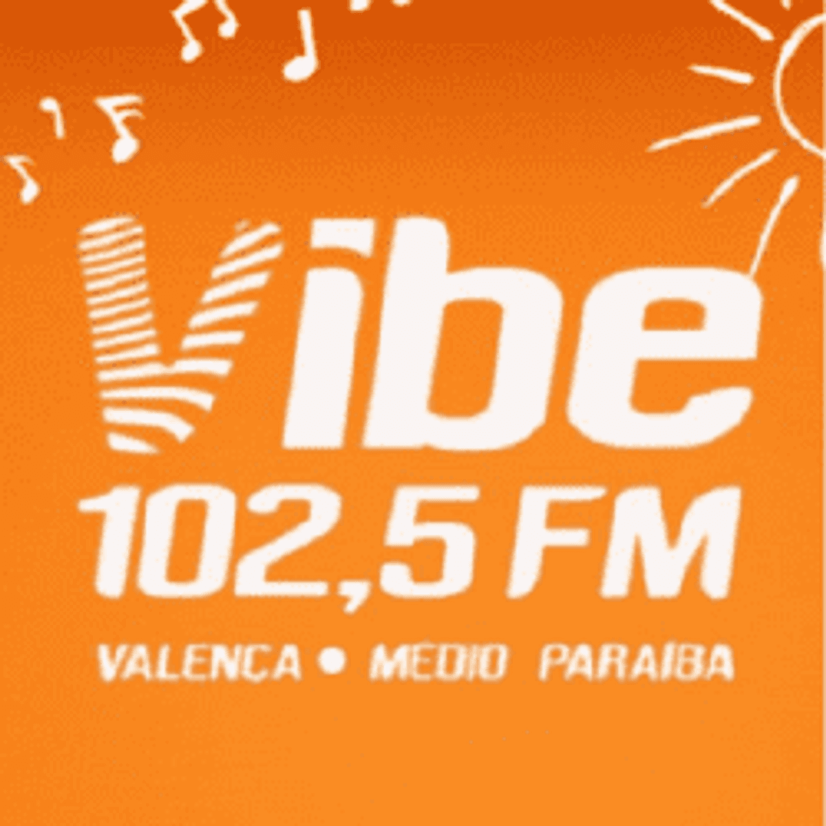 Logo Vibe FM